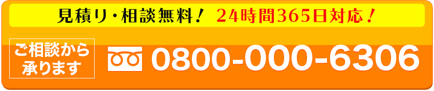 tel.0800-000-6306
