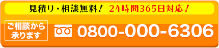 tel.0800-000-6306